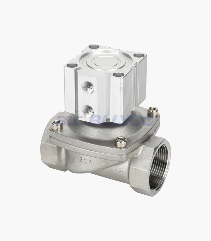 The Role of Diaphragm Pump Safety Valve: Ensuring System Stability