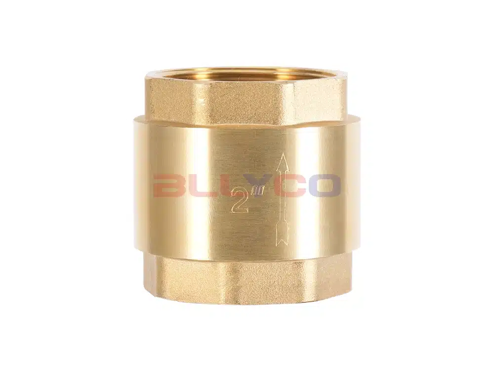 Brass vertical check valve H12W-16T