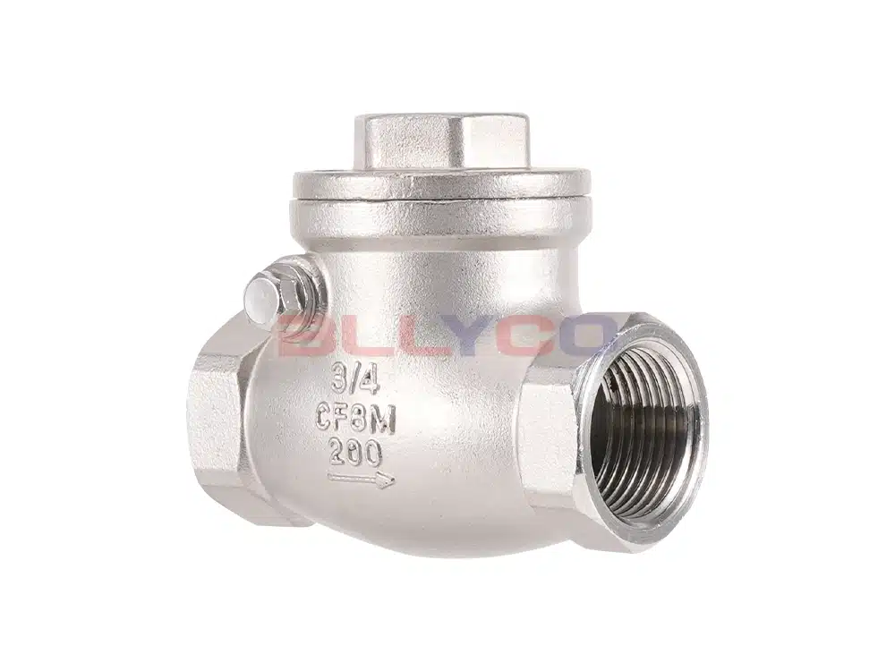 Clapet anti-retour à battant en acier inoxydable 304 H14W-16P