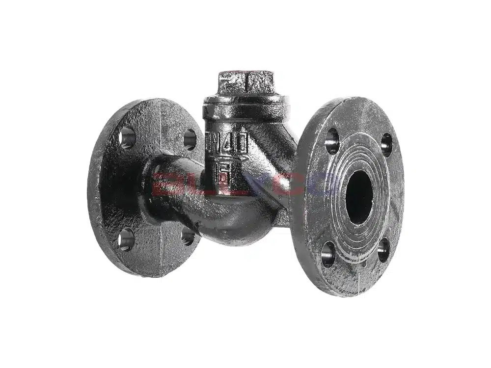 Cast iron lift check valve H41T-16