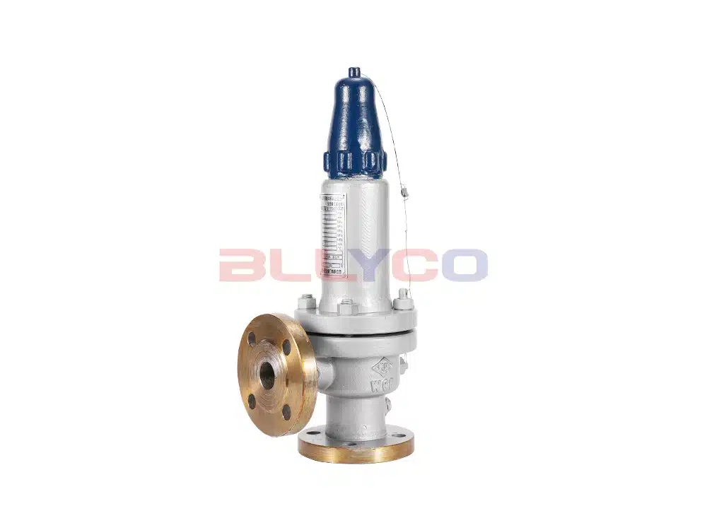 Cast steel closed spring-loaded safety valve A42Y-16C
