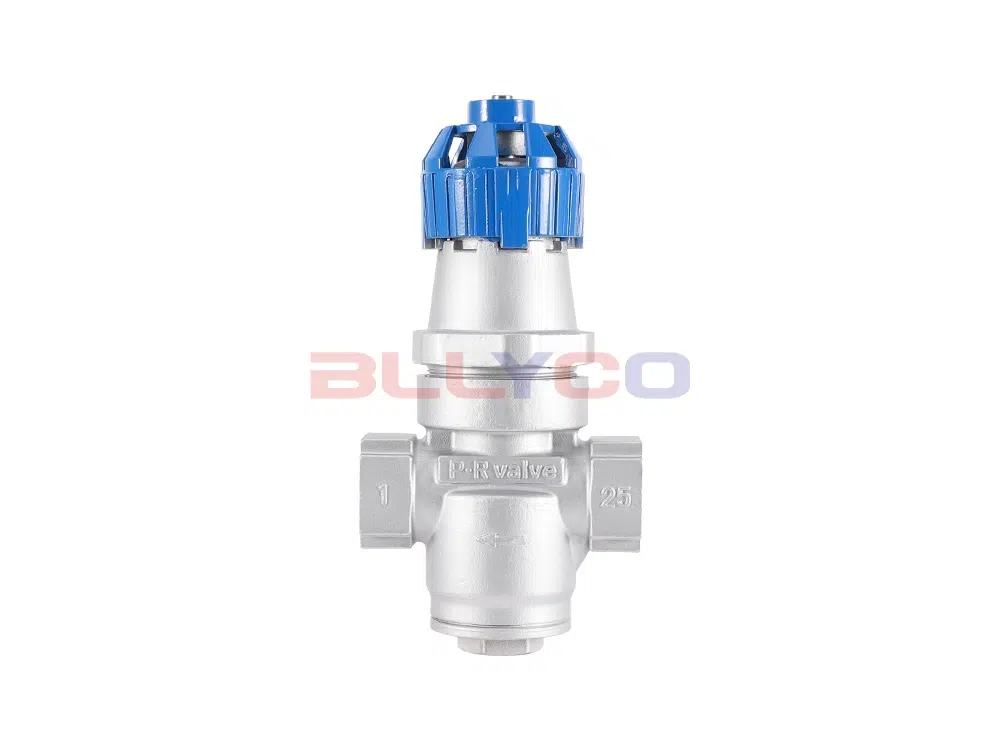 Riduttore di pressione a soffietto in acciaio inox 304 Y14H-16P